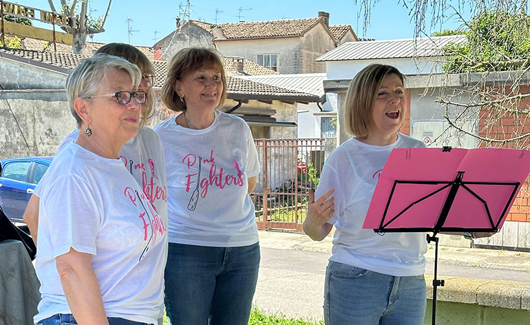 Pink Fighters